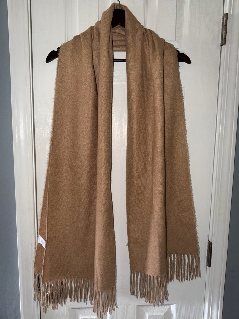 Liz Claiborne Beige Fringe Scarf